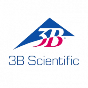 3B SCIENTIFIC